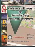 NewAge Challenges and Strategies for Sustainable Energy Deficiency and Environment
